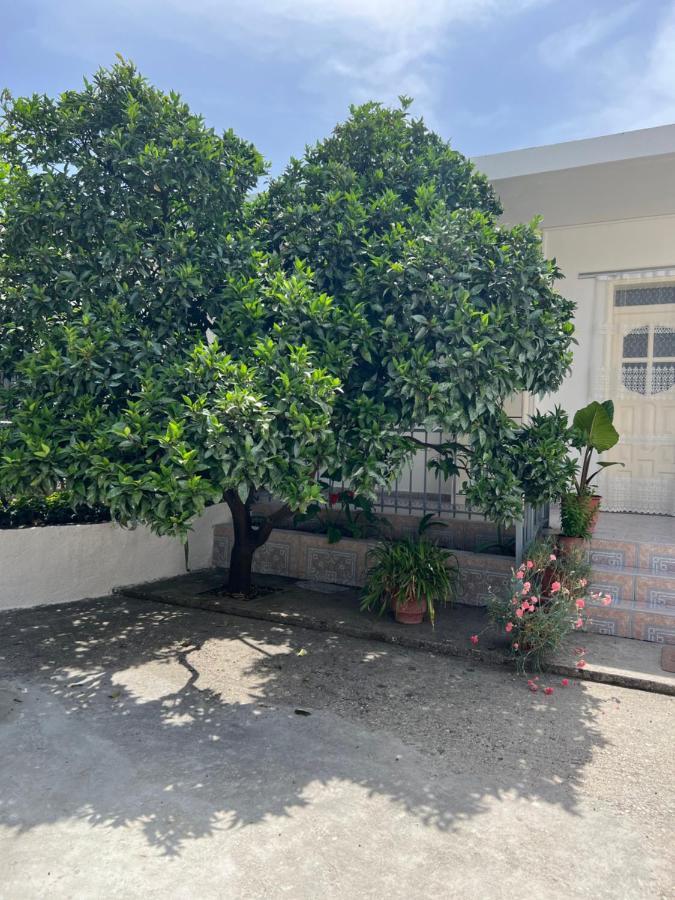 Rooms For Rent Habipi Vlorë Exteriör bild